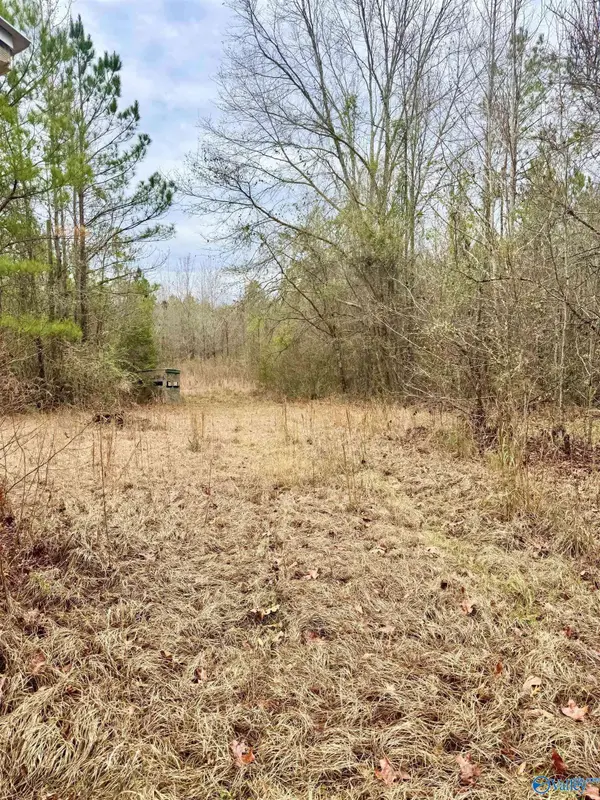 137 Spruce Road, Butler, AL 36904