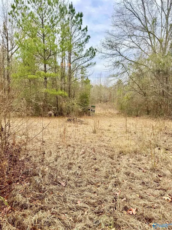 137 Spruce Road, Butler, AL 36904