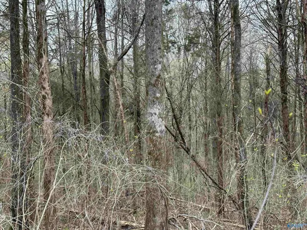 3 Acres Carters Gin Road, Toney, AL 35773