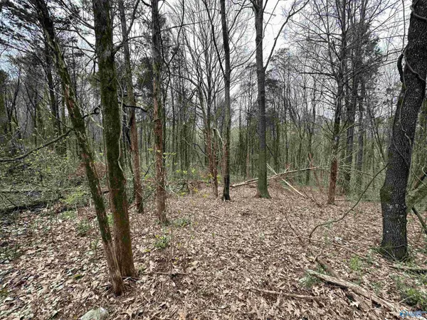 3 Acres Carters Gin Road, Toney, AL 35773