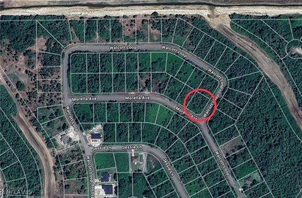 1998 Walcott LOOP, Lehigh Acres, FL 33972