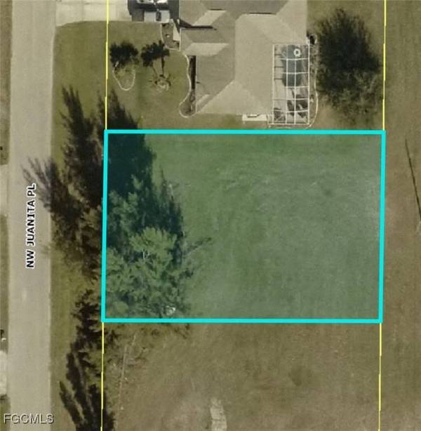 1319 NW Juanita PL, Cape Coral, FL 33993