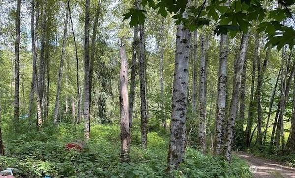 17037 Tiger Mountain RD SE, Issaquah, WA 98027