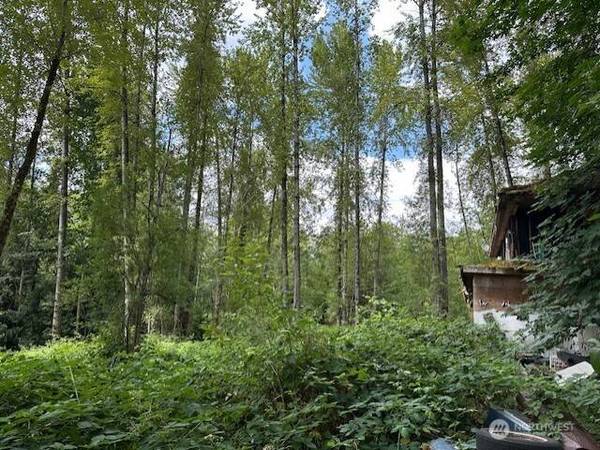 17037 Tiger Mountain RD SE, Issaquah, WA 98027