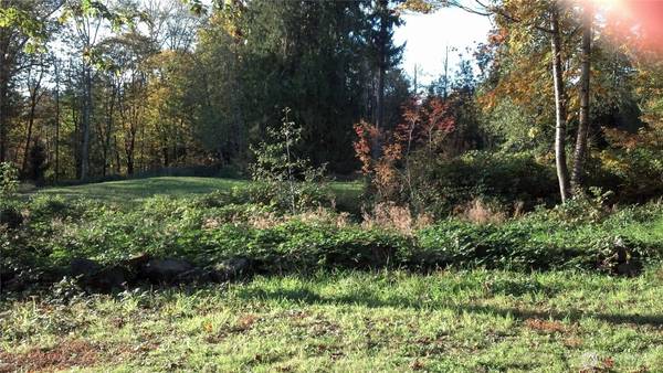 16345 Tiger Mountain RD SE, Issaquah, WA 98027
