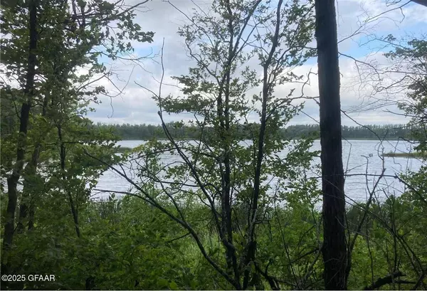 LOT 1 WOOD LAKE DR SE, Erskine, MN 56535