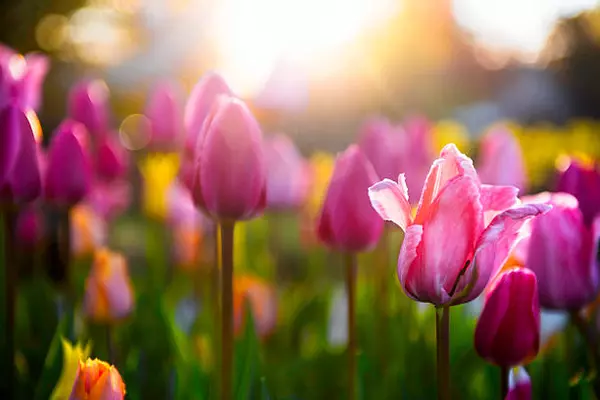 Spring 2024 Market Update for Grand Forks & EGF