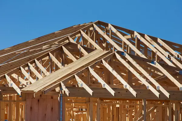 What to Know Before Buying a New Construction Home,Tom Carroll