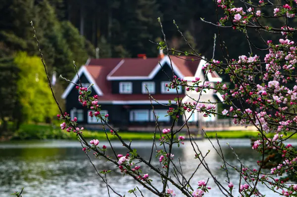 What Andover Homeowners Need to Know About the 2026 Market Before Selling,Tom Carroll