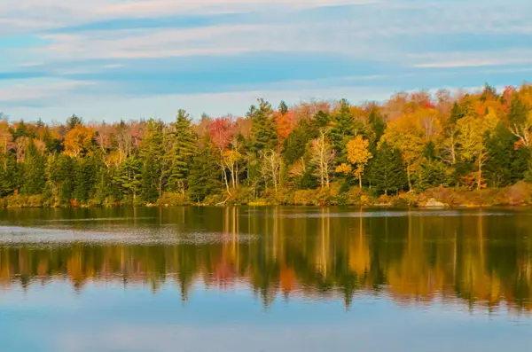 feature image of Neighborhood Guide: Best Places to Live in Andover This Fall