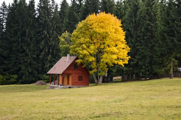 September Market Update: Andover Real Estate Trends