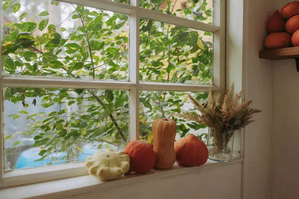 Market Update: Andover Real Estate Trends for Early Fall