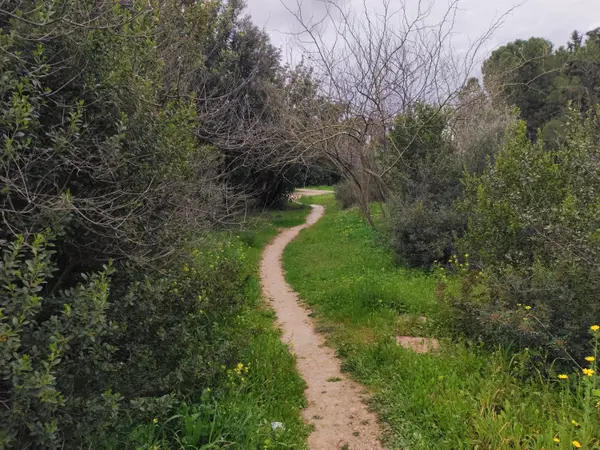 Discover Andover: Walking Trails & Outdoor Adventures Await