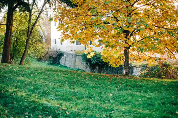 Welcome to September: What’s Happening in Andover This Month?