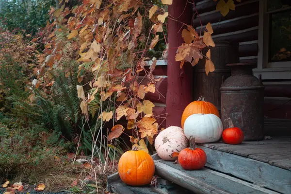 DIY Project: Easy Autumn Porch Decor