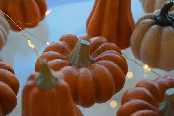 Easy Fall Decorating Ideas on a Budget