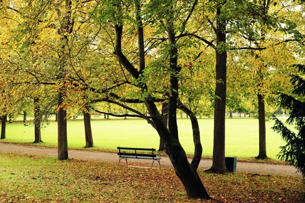 feature image of Andover’s Best Parks for Fall Activities