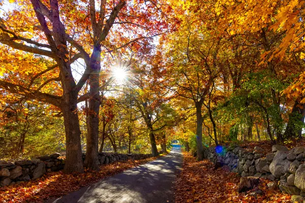 Community Spotlight: The Heart of Andover