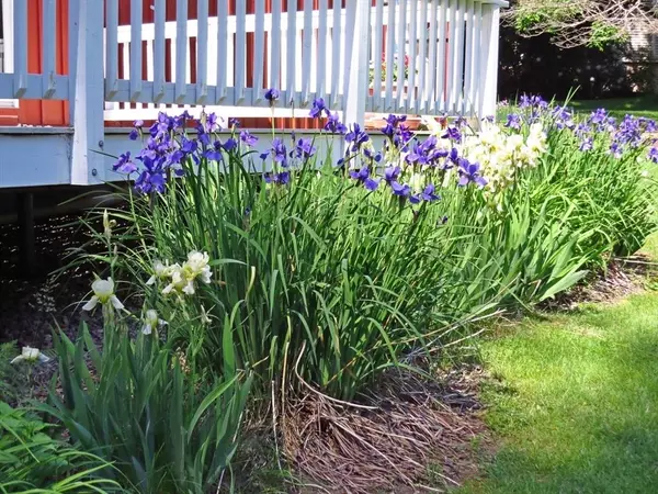 7 Mercury Circle, Andover, MA 01810