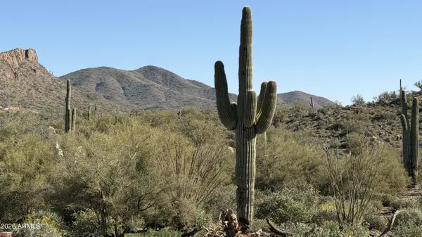 131 W BINGHAM Drive, New River, AZ 85087