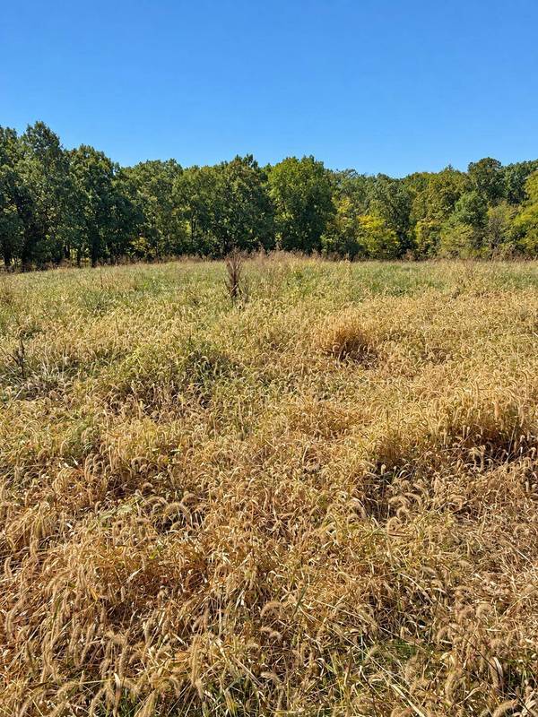 LOT 210 E Monaco CT, Columbia, MO 65203