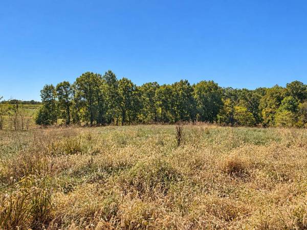 LOT 210 E Monaco CT