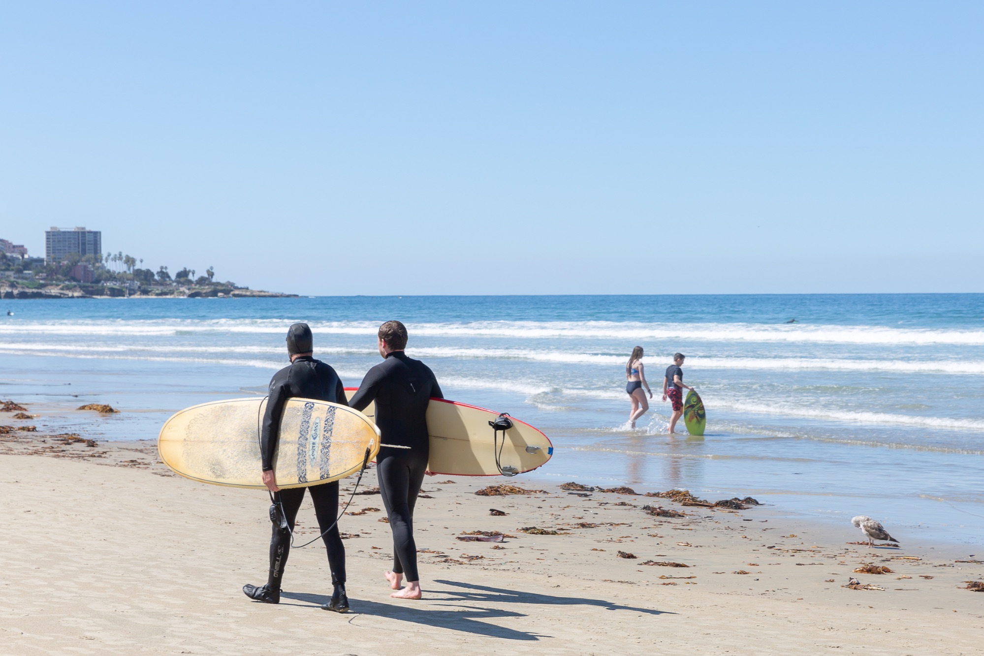 La Jolla Shores Real Estate For Sale