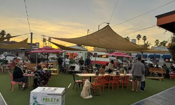 Dog-Friendly Restaurants and Bars in Ocean Beach, San Diego: Where Pups and People Unwind