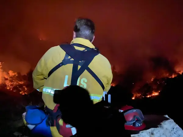 Living Ready in the Mountains: A Descanso Homeowner's Guide to Wildfire Preparedness