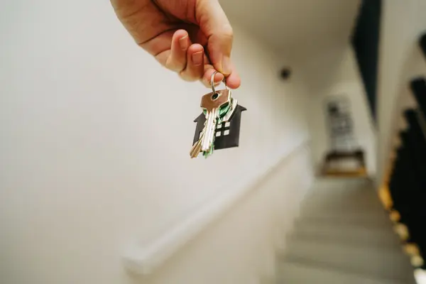 What Are the Steps to Buying a Home in San Diego?,Trevor Landress