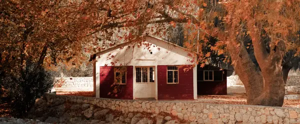 Junior ADU vs. Detached ADU in San Diego: Which Fits Your Home?