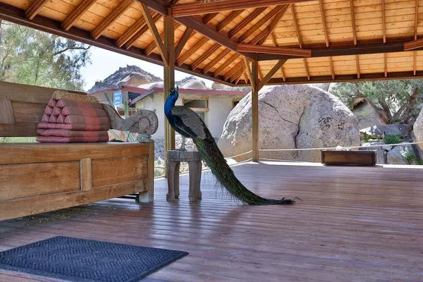 Desert View Tower & 3 Homes, Jacumba, CA 91934