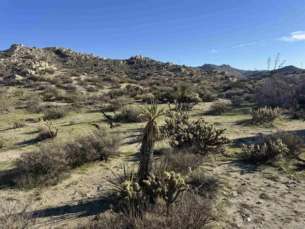 Jacumba, CA 91934