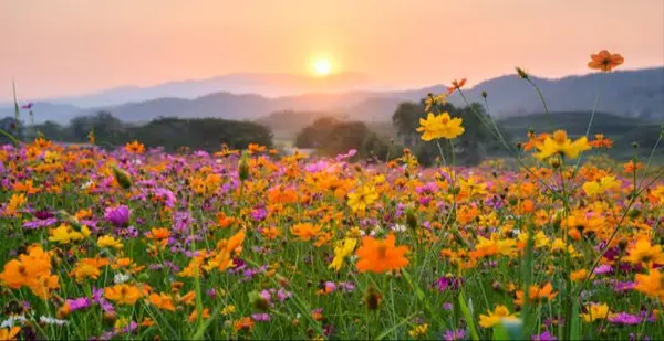 Why Spring Is the Best Time to List Your Home in San Diego (2026 Market Update)