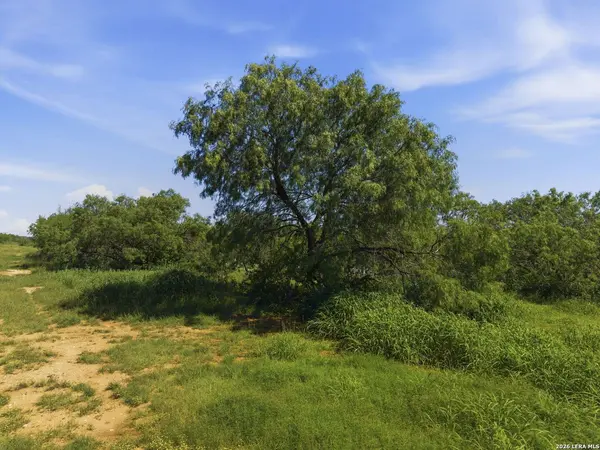 00 CR 329, Floresville, TX 78114