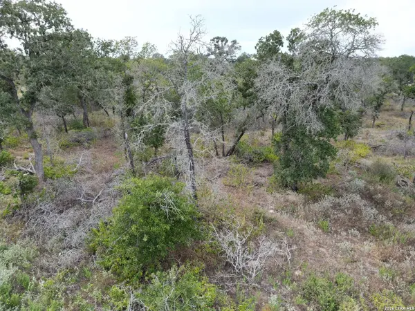 209 TIMBER PL, La Vernia, TX 78121