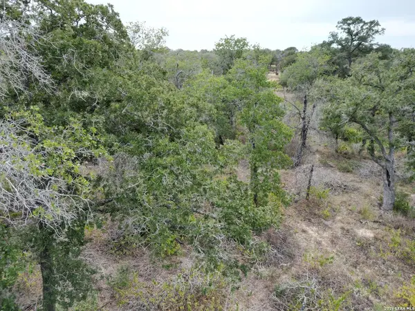 209 TIMBER PL, La Vernia, TX 78121