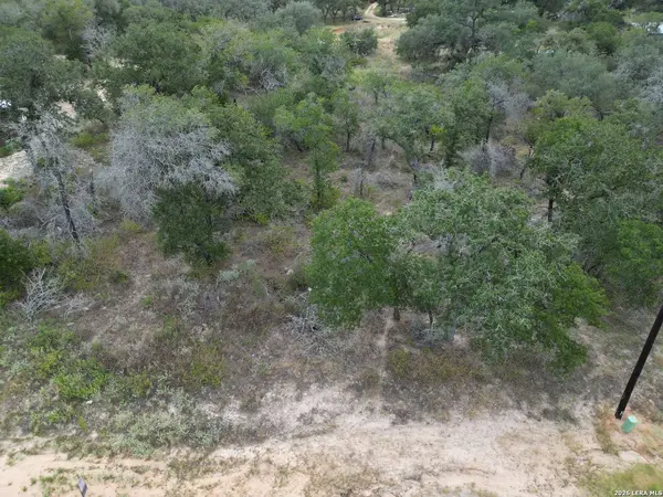 209 TIMBER PL, La Vernia, TX 78121