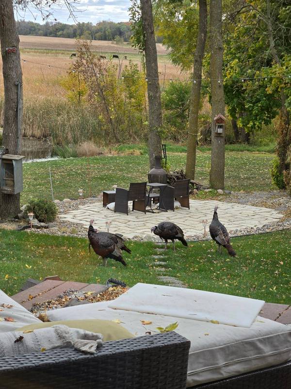 1235 N Sutton Lake BLVD, Sand Creek Twp, MN 55352