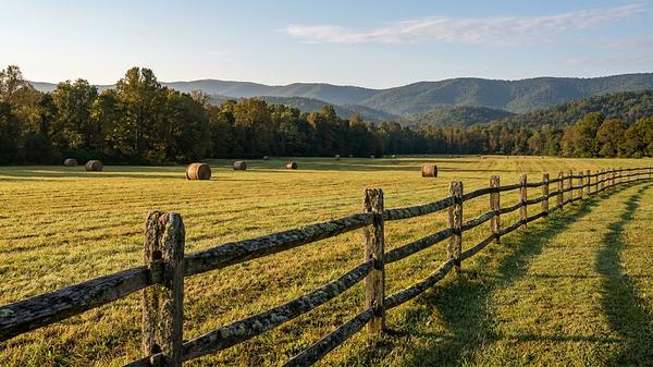 Farmland and Agricultural Property in Dahlonega: A Buyer's Guide