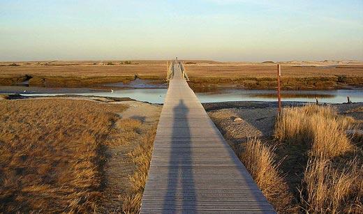 Sandwich MA Beaches Guide 2025 | Linda Whitcomb Cape Cod
