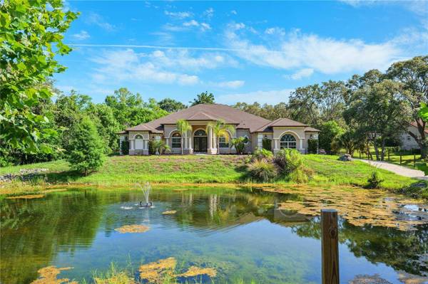 16291 EAGLE VIEW DR, Spring Hill, FL 34610