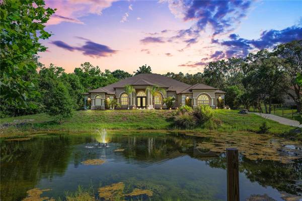 16291 EAGLE VIEW DR, Spring Hill, FL 34610