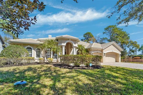 21235 SKY VISTA DR, Land O Lakes, FL 34637