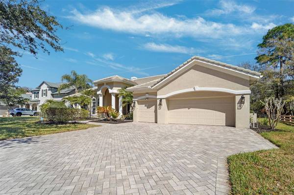 21235 SKY VISTA DR, Land O Lakes, FL 34637