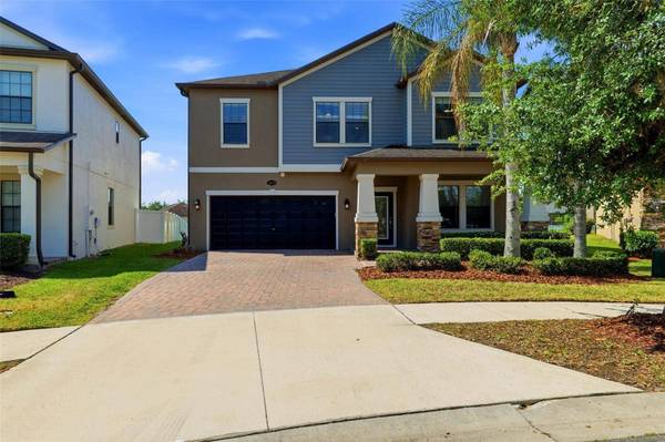 19419 PADDOCK VIEW DR, Tampa, FL 33647