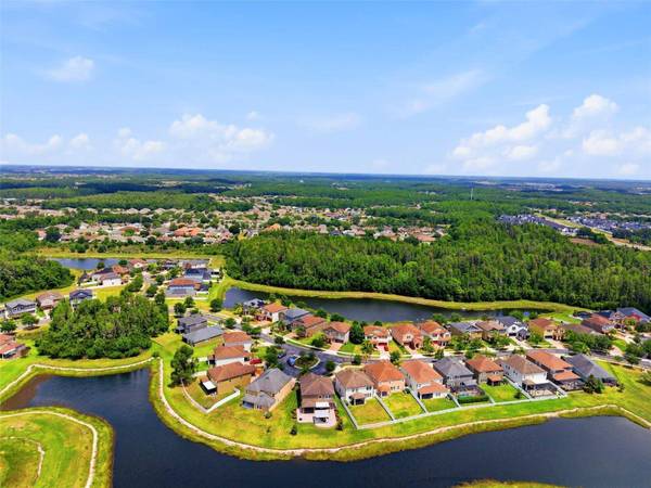 19419 PADDOCK VIEW DR, Tampa, FL 33647