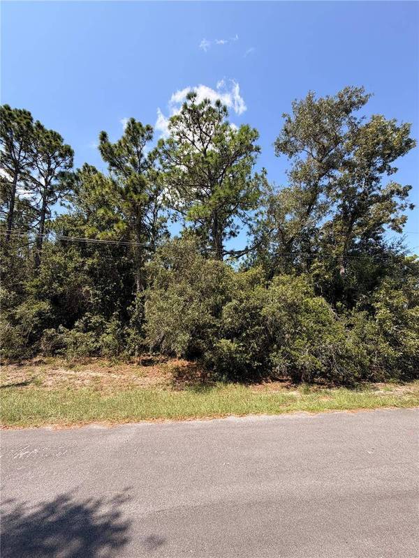 4447 HANSEN TRL, Brooksville, FL 34604