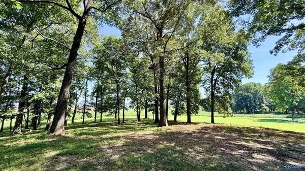 8516 Moores Mill Road, Meridianville, AL 35759