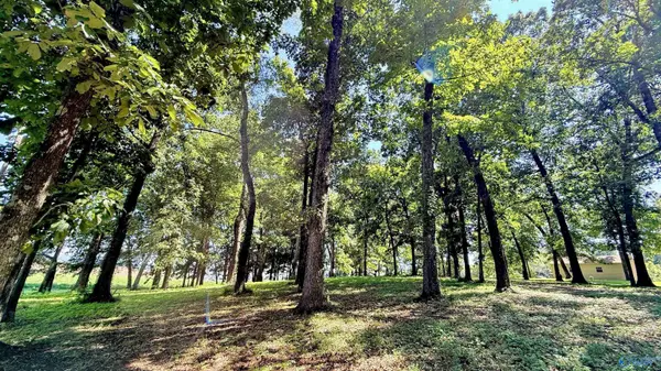 8516 Moores Mill Road, Meridianville, AL 35759